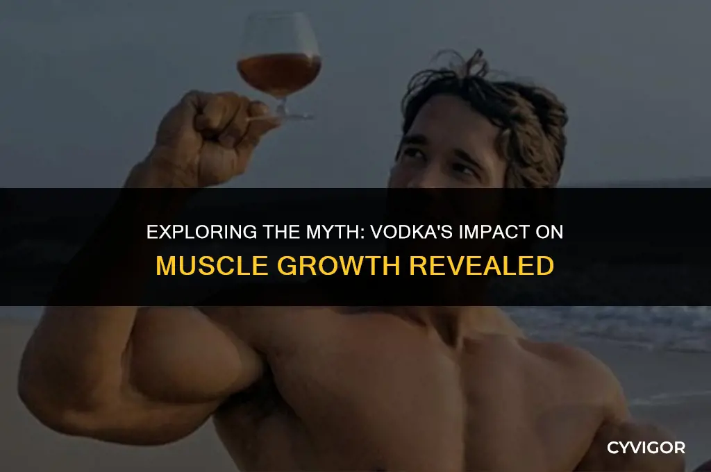 is vodka good for muscle growth