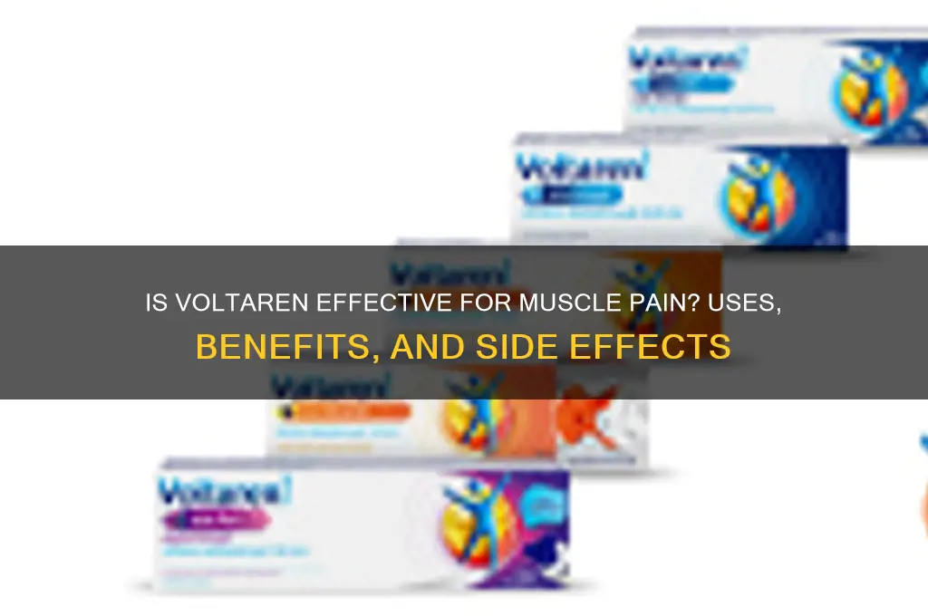 is voltaren for muscle pain
