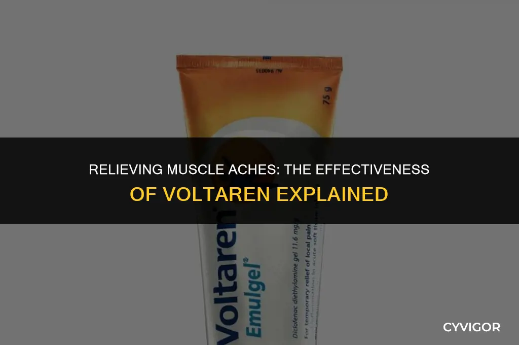 is voltaren good for muscle aches