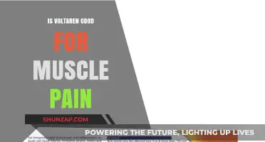 Is Voltaren Effective for Muscle Pain? Benefits and Usage Explained