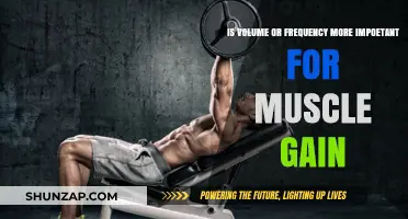 Volume vs. Frequency: Which Drives Muscle Gain More Effectively?