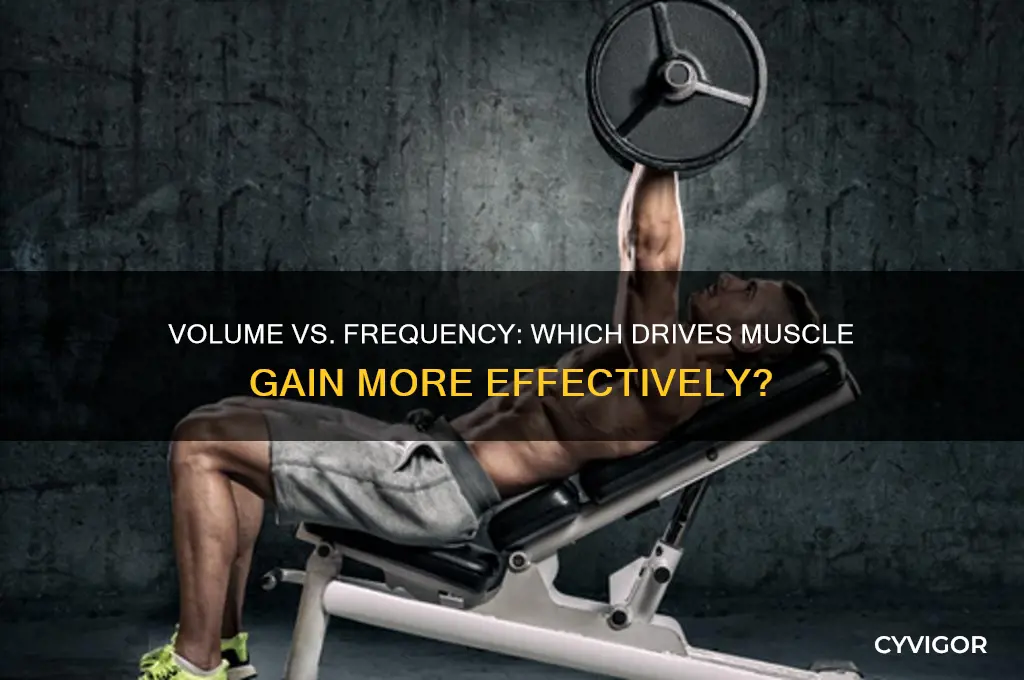 is volume or frequency more impoetant for muscle gain