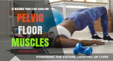 Strengthening Your Pelvic Floor: The Benefits of Walking 7,000 Steps a Day