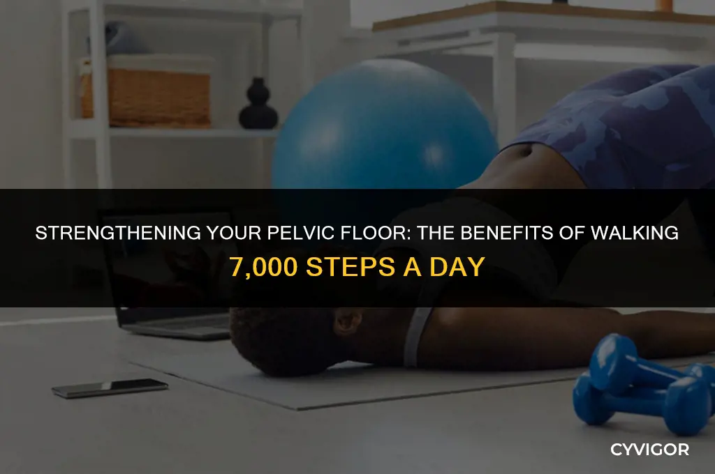 is walking 7000 a day good for pelvic floor muscles