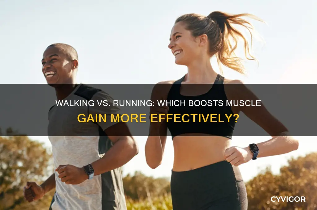 is walking better than running for muscle gain