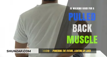 Walking for Pulled Back Muscle Recovery: Benefits and Precautions