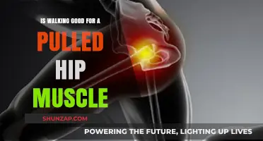 Walking for Pulled Hip Muscle: Benefits, Risks, and Recovery Tips