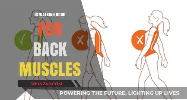 Strengthen Your Back: The Surprising Benefits of Walking