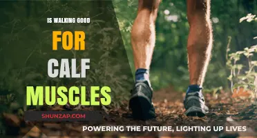 Strengthen Your Calves: The Surprising Benefits of Walking