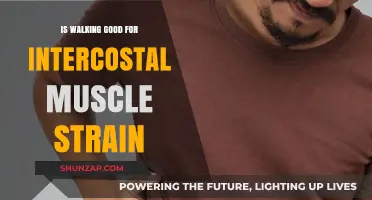 Walking for Intercostal Muscle Strain: Benefits and Precautions
