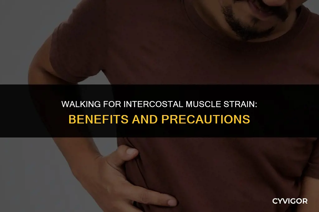 is walking good for intercostal muscle strain