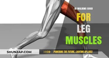 Strengthen Your Legs: The Surprising Benefits of Walking