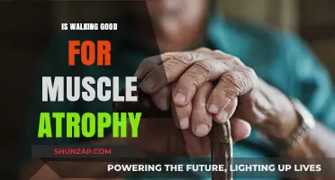 Combatting Muscle Atrophy: The Surprising Benefits of Walking