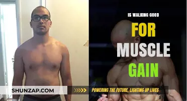 Walking for Muscle Gain: Effective Strategy or Just a Myth?
