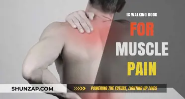 Walking for Muscle Pain Relief: Benefits and Effective Strategies