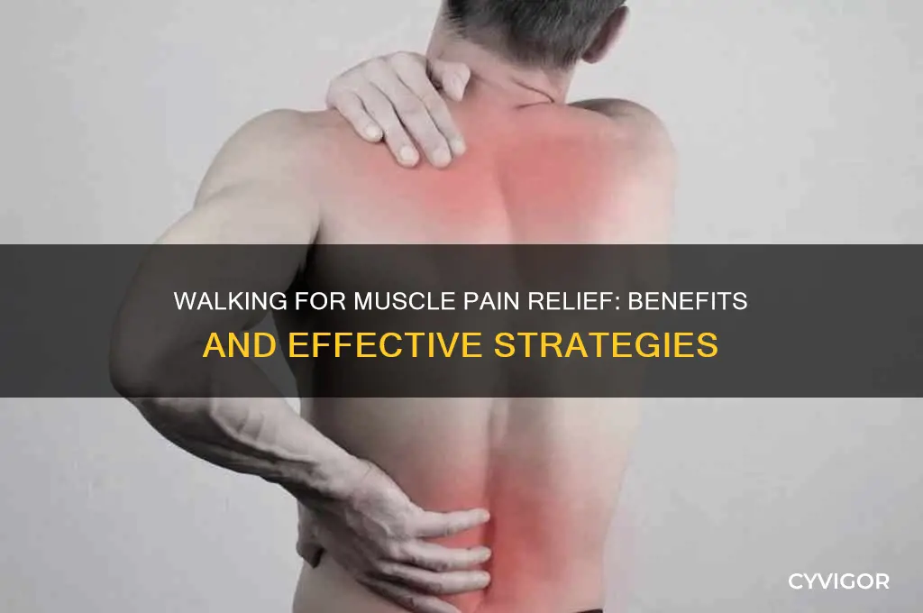 is walking good for muscle pain