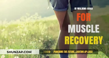 Stride to Recovery: The Surprising Benefits of Walking for Muscle Health