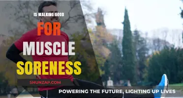 Walking Wonders: Can It Ease Muscle Soreness?