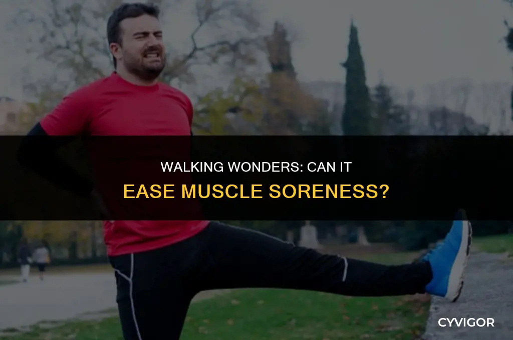 is walking good for muscle soreness