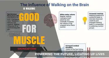 Unleashing the Power of Walking: A Surprising Muscle Builder