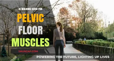 Strengthening Your Pelvic Floor: The Surprising Benefits of Walking