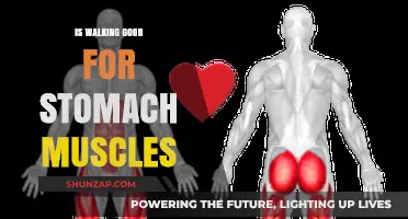 Stroll to Strength: Walking's Surprising Impact on Stomach Muscles