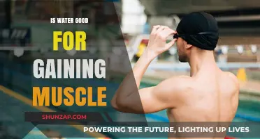 Hydration and Muscle Growth: How Water Fuels Your Fitness Gains