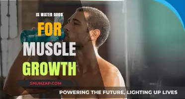 Hydration and Hypertrophy: The Essential Role of Water in Muscle Growth