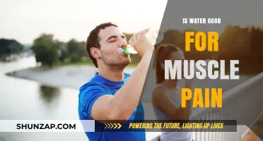 Hydration and Healing: Can Water Relieve Muscle Pain Effectively?