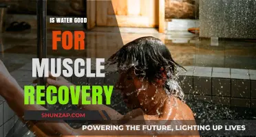 Hydration and Muscle Recovery: The Essential Connection