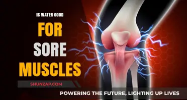 Hydration Healing: Can Water Soothe and Repair Sore Muscles?