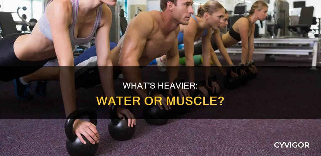 is water or muscle heavier