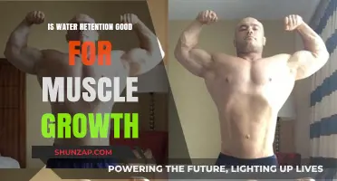 Hydration and Hypertrophy: The Truth About Water Retention and Muscle Growth