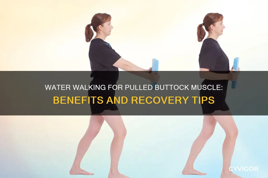 is water walking good for a pulled buttock muscle