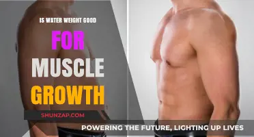 Hydration and Hypertrophy: The Role of Water in Muscle Growth