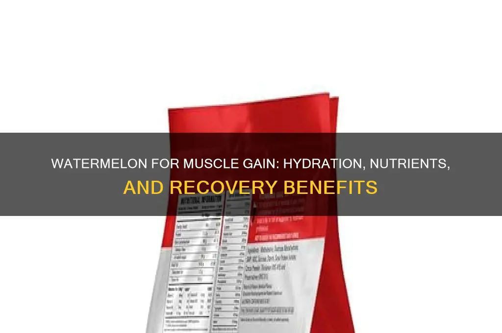 is watermelon good for gaining muscle