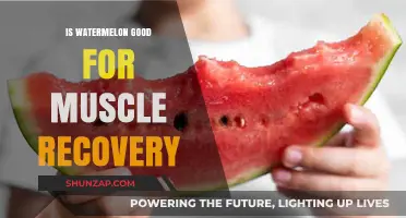 Watermelon's Role in Muscle Recovery: A Juicy Secret Unveiled