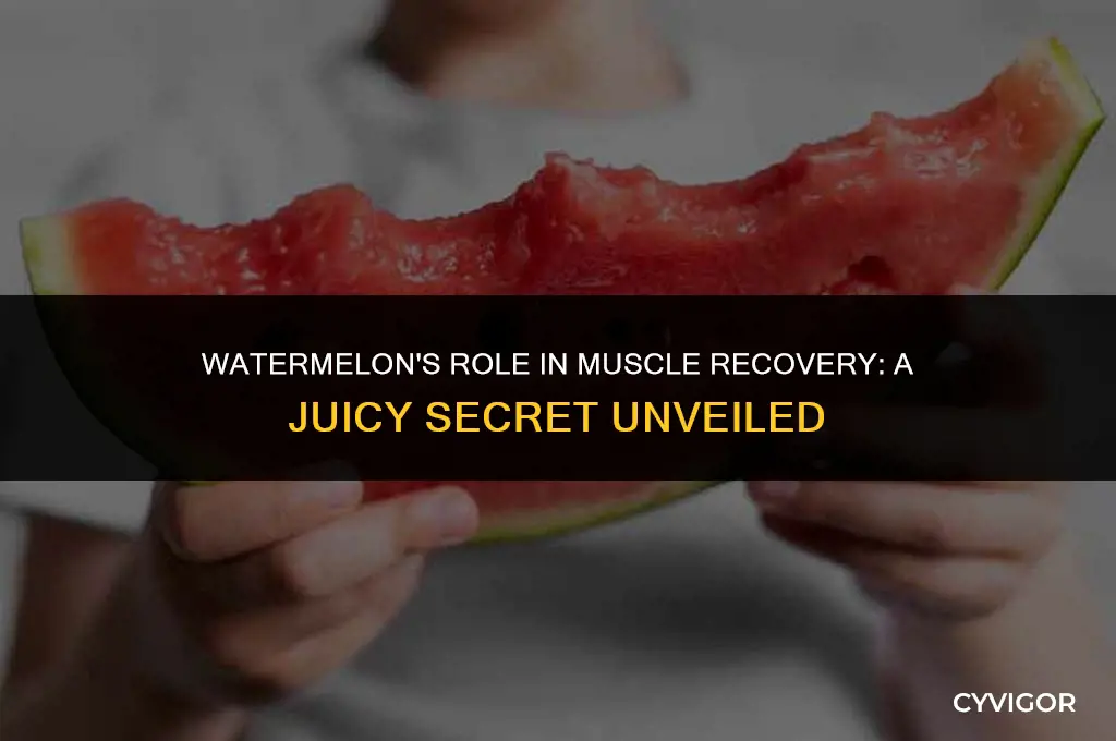 is watermelon good for muscle recovery