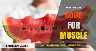 Watermelon's Surprising Benefits for Muscle Health and Recovery