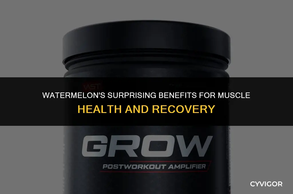 is watermelon good for muscle