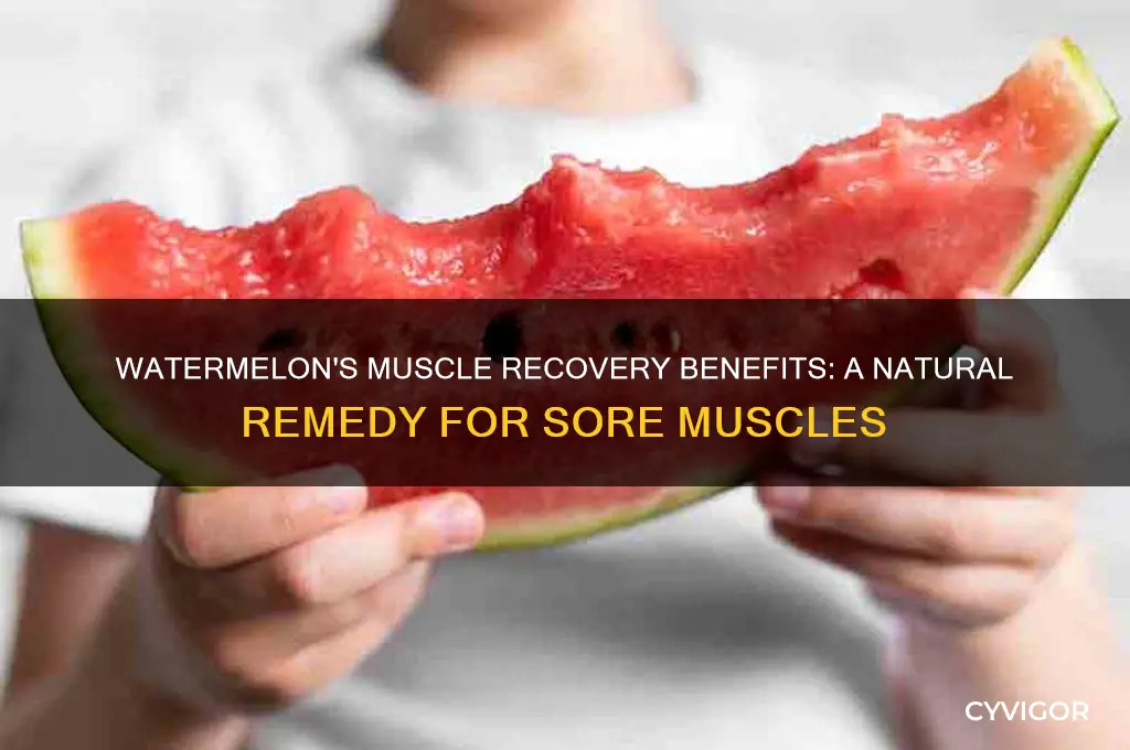 is watermelon good for sore muscles