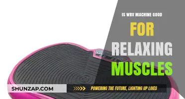 WBV Machine Benefits: Relaxing Muscles and Reducing Tension Effectively