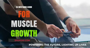 Weetabix for Muscle Growth: A Nutritional Analysis