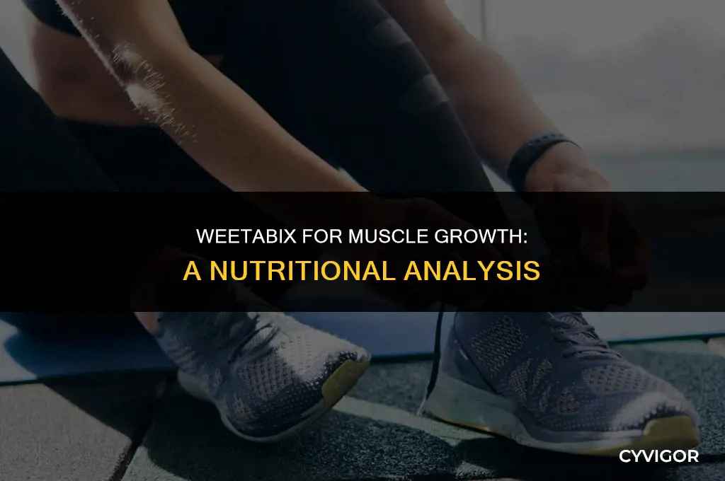 is weetabix good for muscle growth