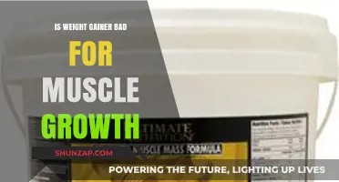 Is Weight Gainer Bad for Muscle Growth? The Truth Revealed
