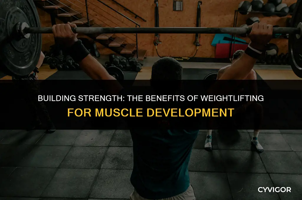 is weight lifting good for muscle strengthening