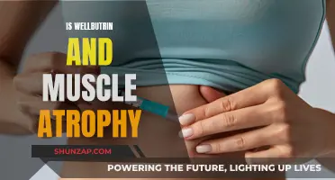Wellbutrin's Impact: Exploring Muscular Atrophy and Recovery