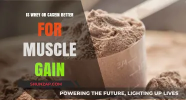 Whey vs. Casein: Which Protein Reigns Supreme for Muscle Gain?