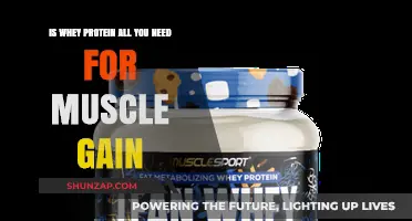 Whey Protein for Muscle Gain: Is It Enough Alone?