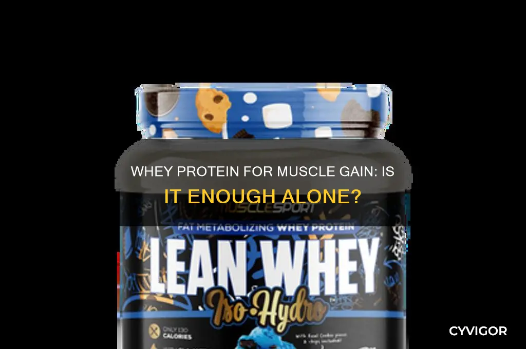 is whey protein all you need for muscle gain